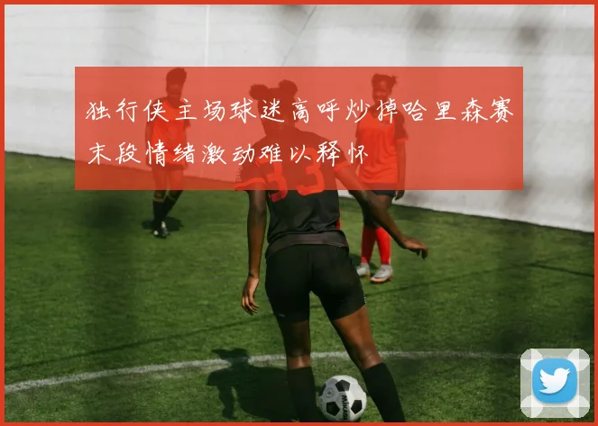 独行侠主场球迷高呼炒掉哈里森赛末段情绪激动难以释怀