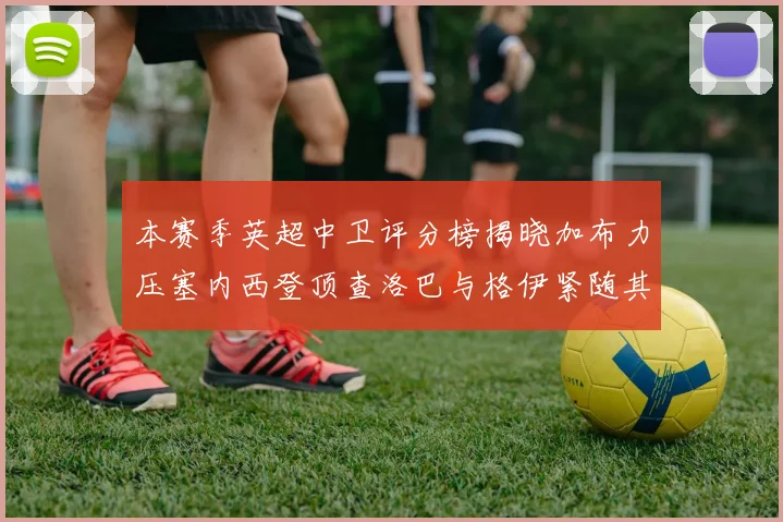 本赛季英超中卫评分榜揭晓加布力压塞内西登顶查洛巴与格伊紧随其后