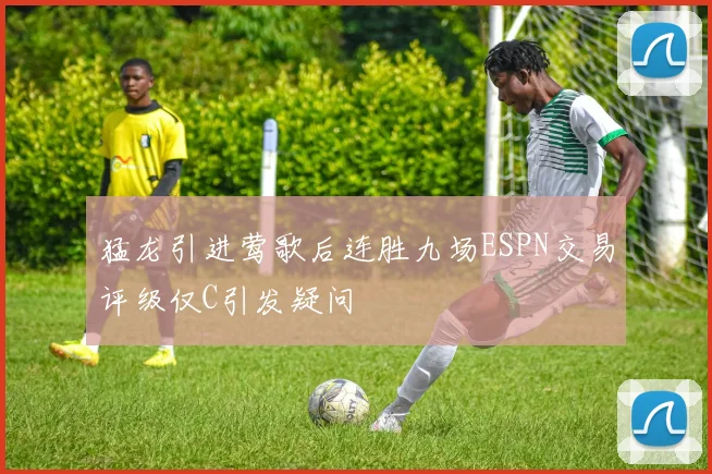 猛龙引进莺歌后连胜九场ESPN交易评级仅C引发疑问