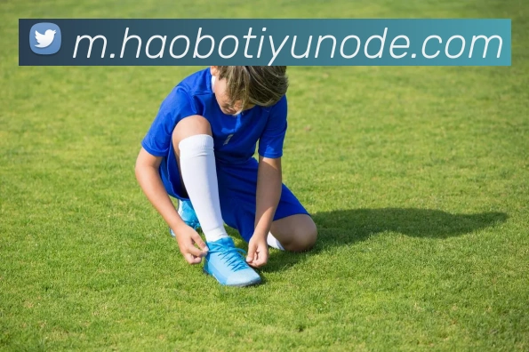 好博体育平台生态图