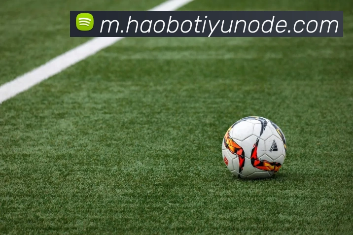 好博体育APP 封面图